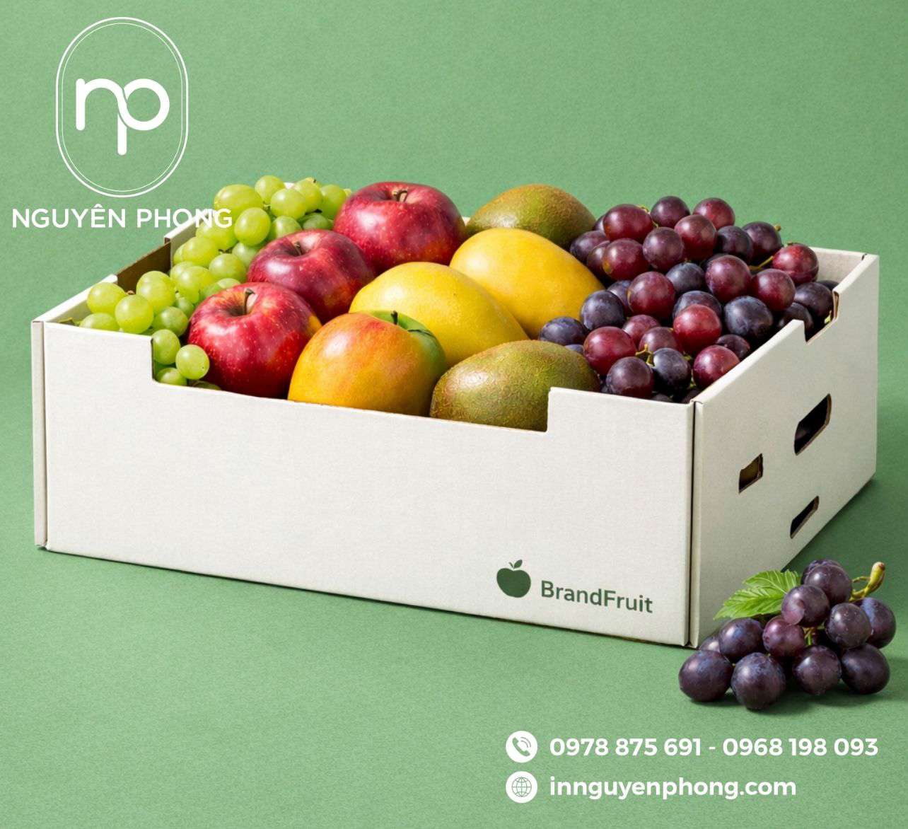 Mẫu khay đựng trái cây đơn giản 